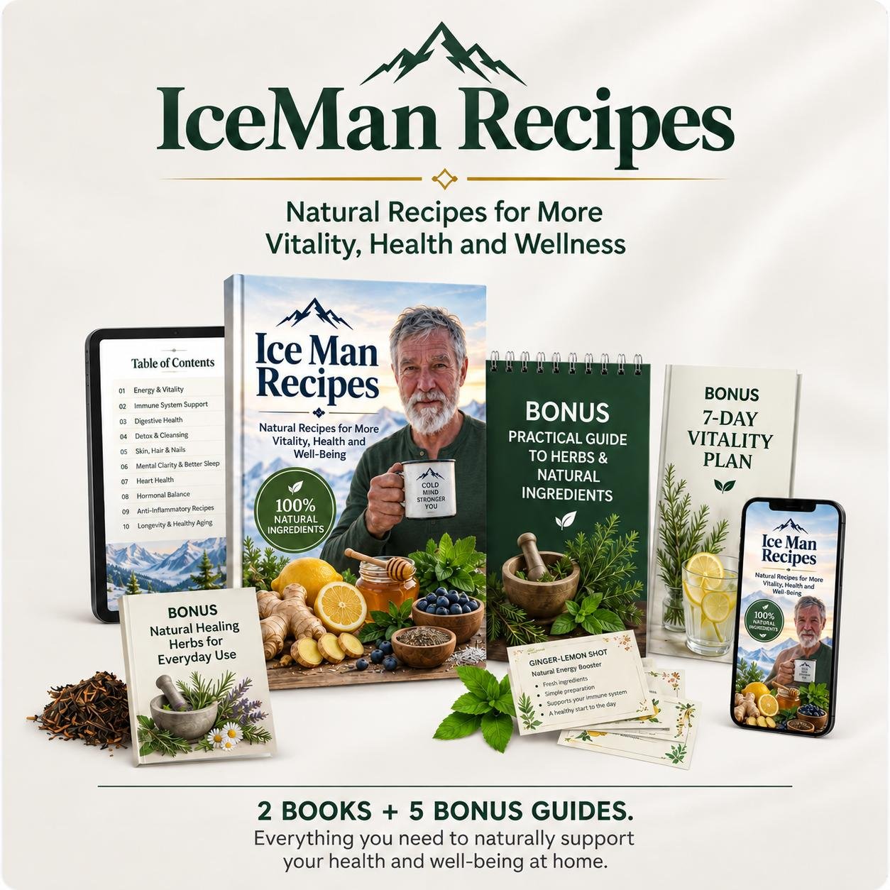 IceMan Recipes — Foto 1